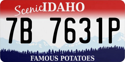 ID license plate 7B7631P