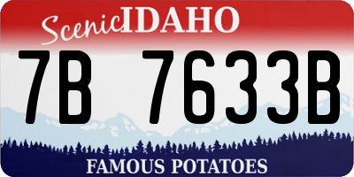 ID license plate 7B7633B