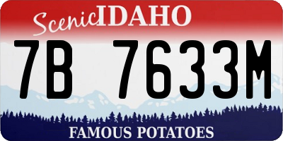 ID license plate 7B7633M