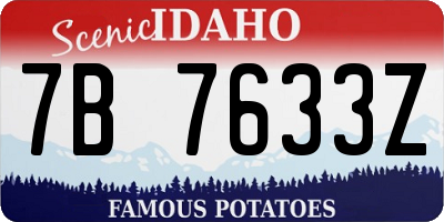 ID license plate 7B7633Z