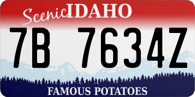 ID license plate 7B7634Z