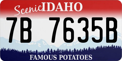 ID license plate 7B7635B