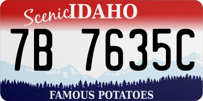 ID license plate 7B7635C
