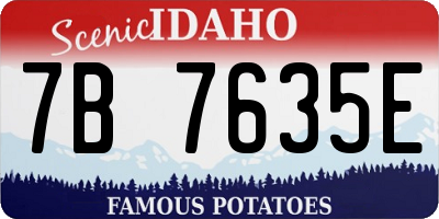 ID license plate 7B7635E