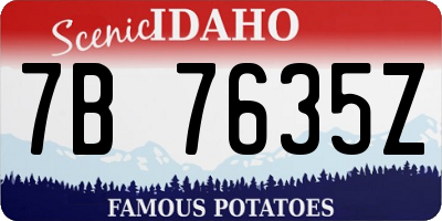 ID license plate 7B7635Z