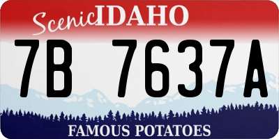 ID license plate 7B7637A