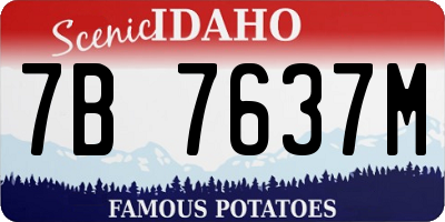 ID license plate 7B7637M
