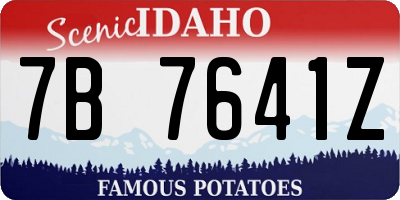 ID license plate 7B7641Z