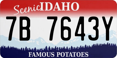 ID license plate 7B7643Y