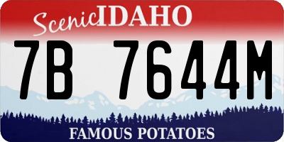 ID license plate 7B7644M