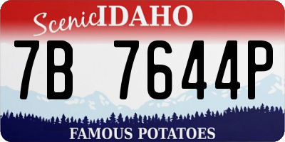 ID license plate 7B7644P