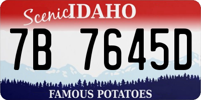 ID license plate 7B7645D