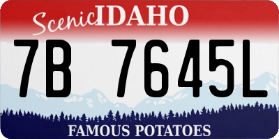 ID license plate 7B7645L
