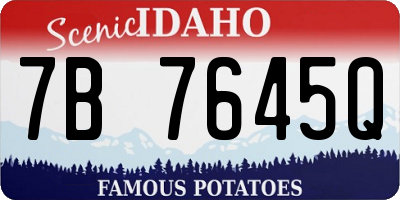 ID license plate 7B7645Q