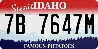 ID license plate 7B7647M
