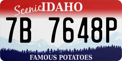 ID license plate 7B7648P