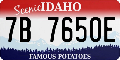 ID license plate 7B7650E