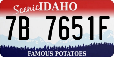 ID license plate 7B7651F