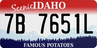 ID license plate 7B7651L