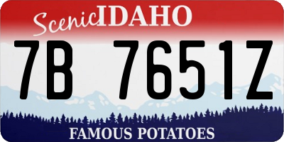 ID license plate 7B7651Z
