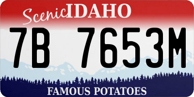 ID license plate 7B7653M