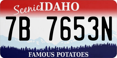ID license plate 7B7653N
