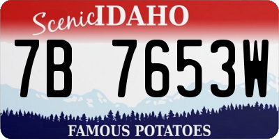 ID license plate 7B7653W