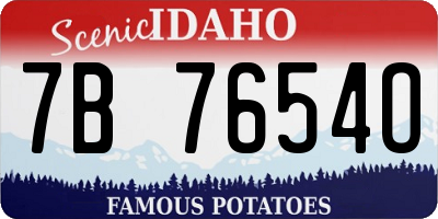ID license plate 7B7654O