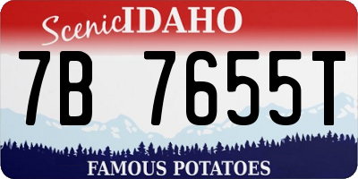 ID license plate 7B7655T