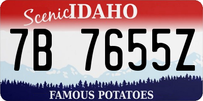 ID license plate 7B7655Z
