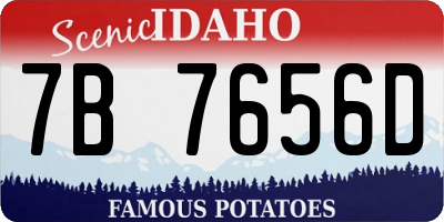 ID license plate 7B7656D