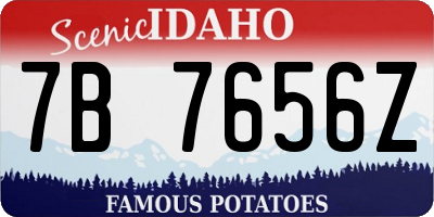 ID license plate 7B7656Z
