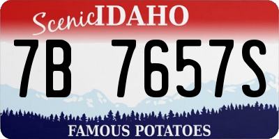 ID license plate 7B7657S