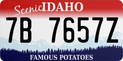 ID license plate 7B7657Z