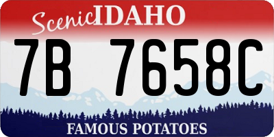 ID license plate 7B7658C