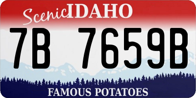 ID license plate 7B7659B