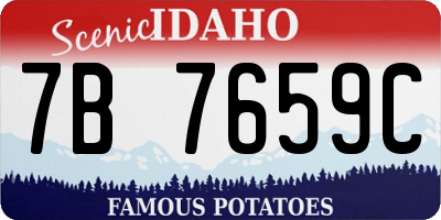 ID license plate 7B7659C