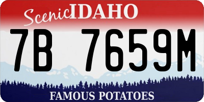 ID license plate 7B7659M