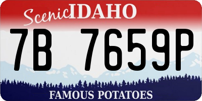ID license plate 7B7659P