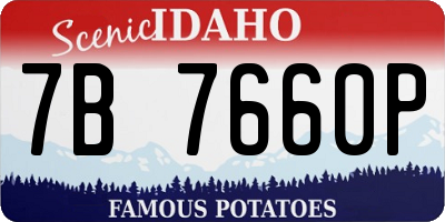 ID license plate 7B7660P