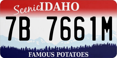ID license plate 7B7661M