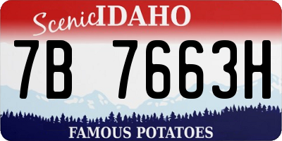ID license plate 7B7663H