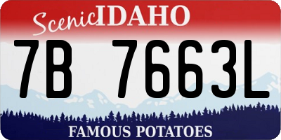 ID license plate 7B7663L