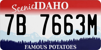 ID license plate 7B7663M