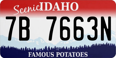ID license plate 7B7663N