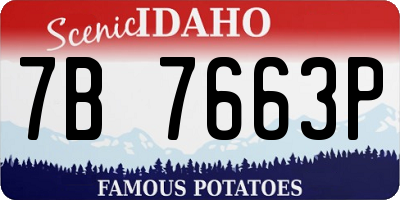 ID license plate 7B7663P