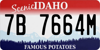 ID license plate 7B7664M