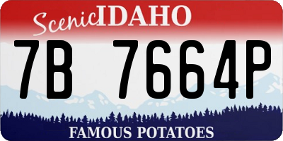 ID license plate 7B7664P