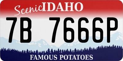 ID license plate 7B7666P