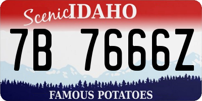 ID license plate 7B7666Z